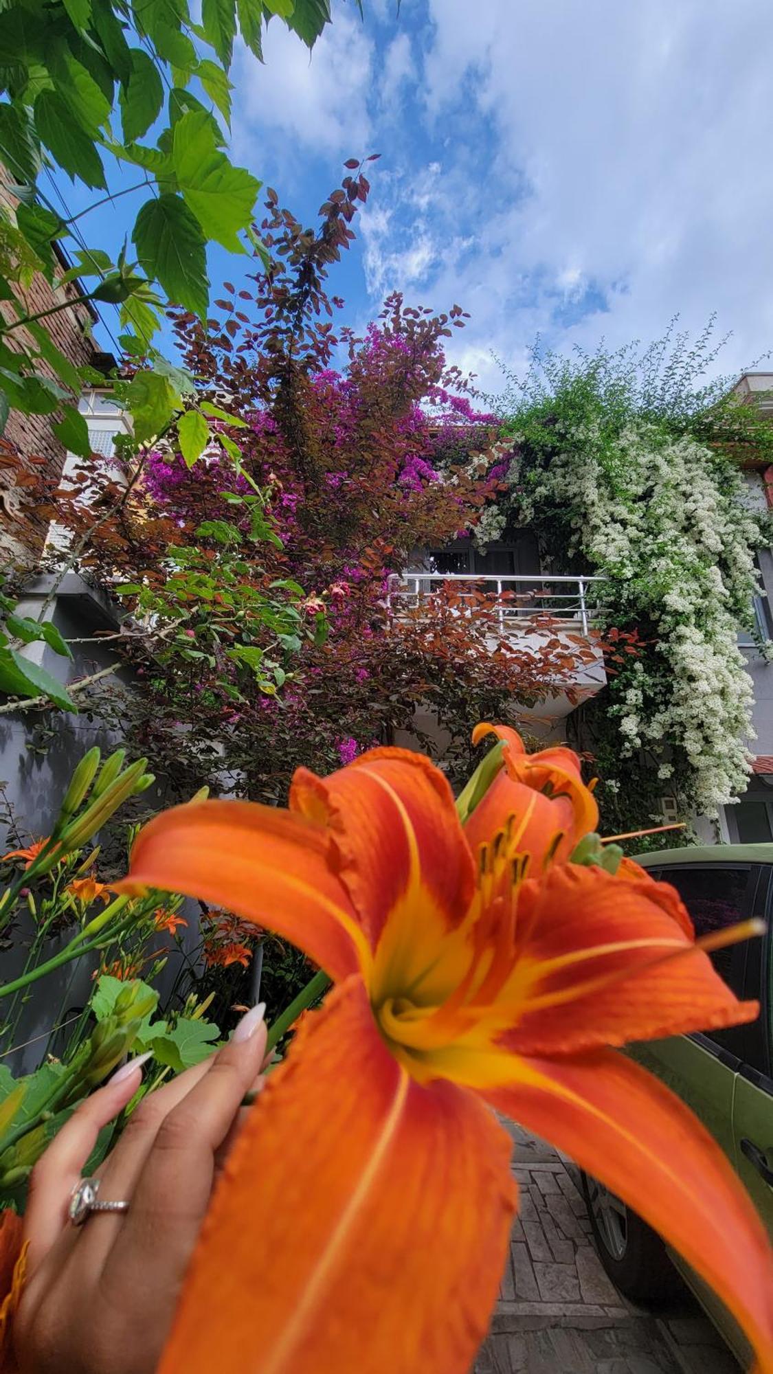 Appartement A Cheerful With Free Parking Space